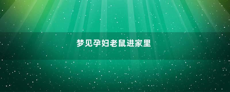 梦见孕妇老鼠进家里