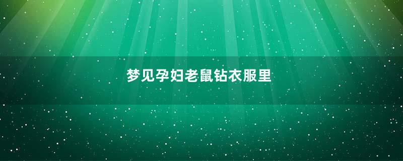 梦见孕妇老鼠钻衣服里