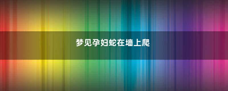 梦见孕妇蛇在墙上爬