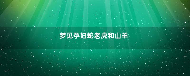 梦见孕妇蛇老虎和山羊