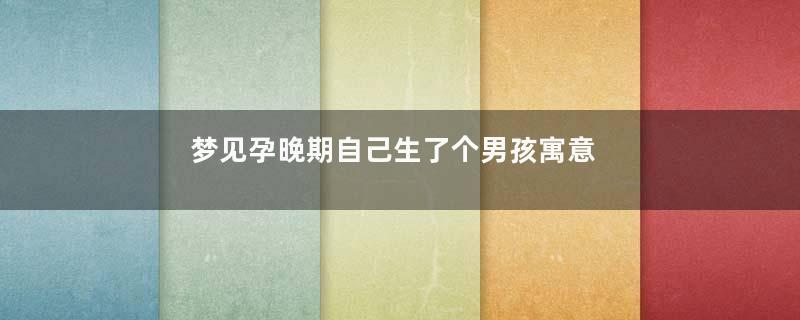 梦见孕晚期自己生了个男孩寓意着什么