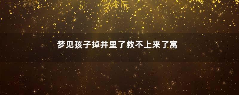 梦见孩子掉井里了救不上来了寓意着什么意思