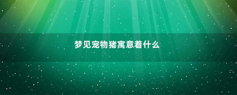 梦见宠物猪寓意着什么