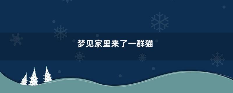 梦到家里来了一群猫