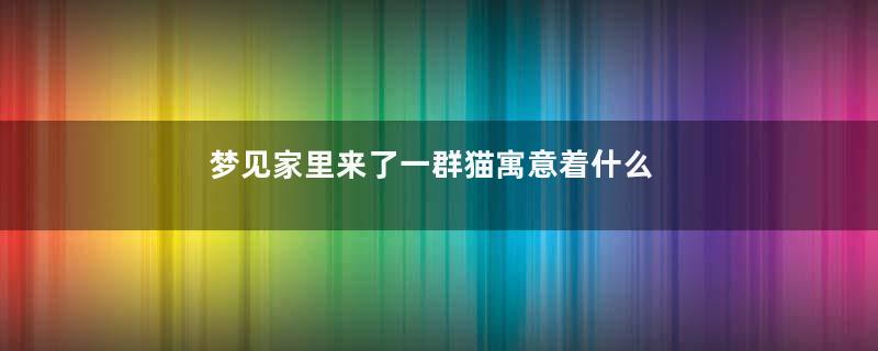 梦见家里来了一群猫寓意着什么