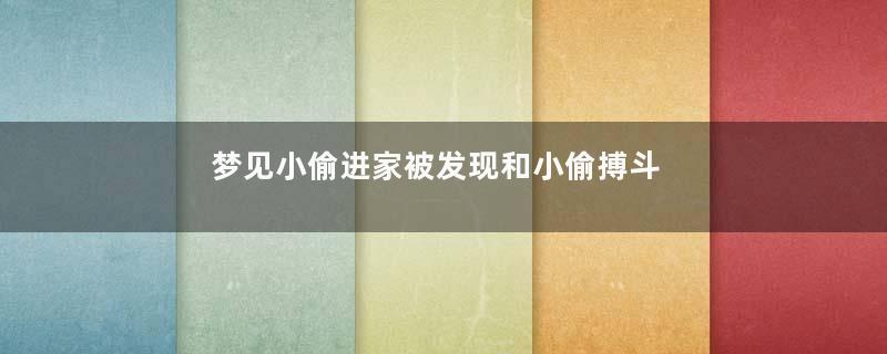 梦见小偷进家被发现和小偷搏斗是什么意思