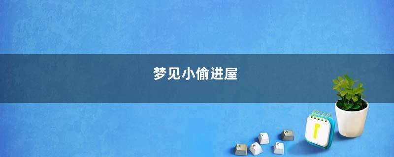 梦到小偷进屋