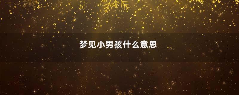 梦见小男孩什么意思