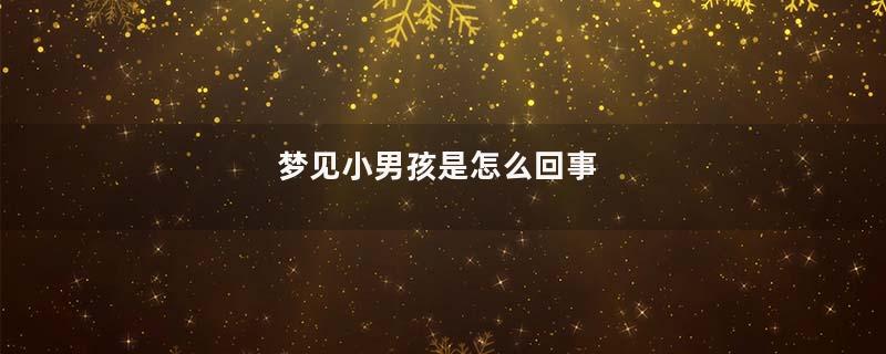 梦见小男孩是怎么回事