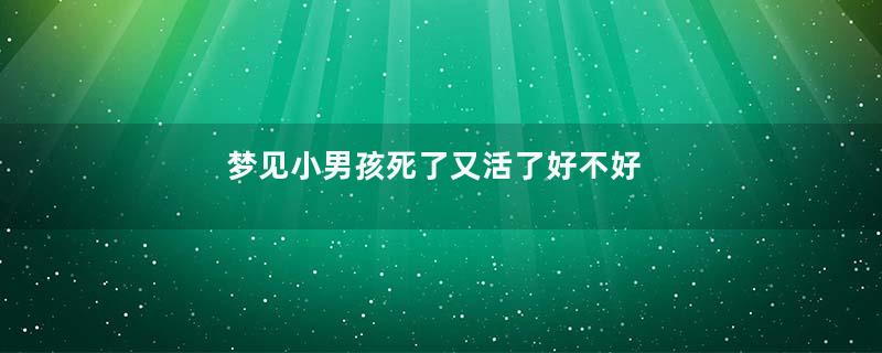 梦见小男孩死了又活了好不好