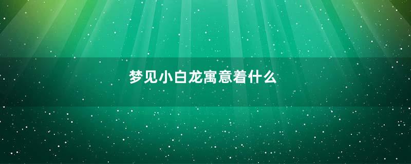 梦见小白龙寓意着什么