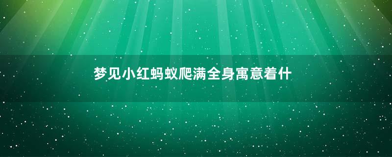梦见小红蚂蚁爬满全身寓意着什么