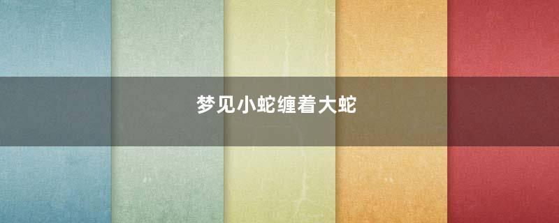 梦见小蛇缠着大蛇