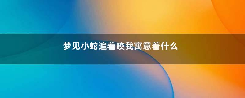 梦见小蛇追着咬我寓意着什么