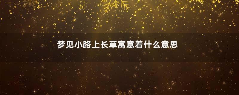 梦见小路上长草寓意着什么意思