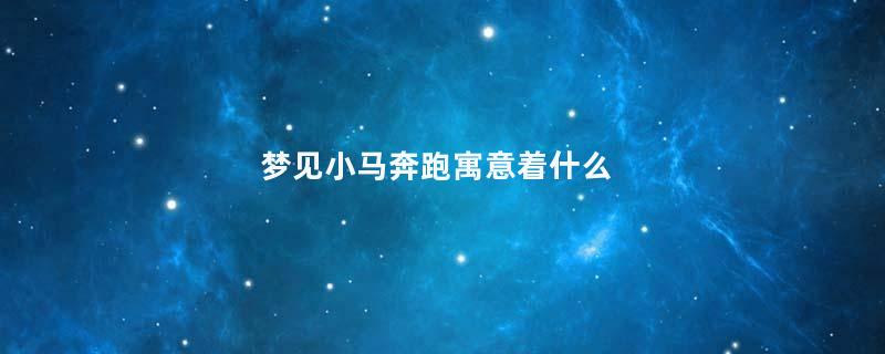 梦见小马奔跑寓意着什么