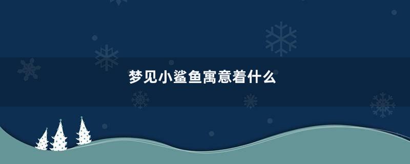 梦见小鲨鱼寓意着什么