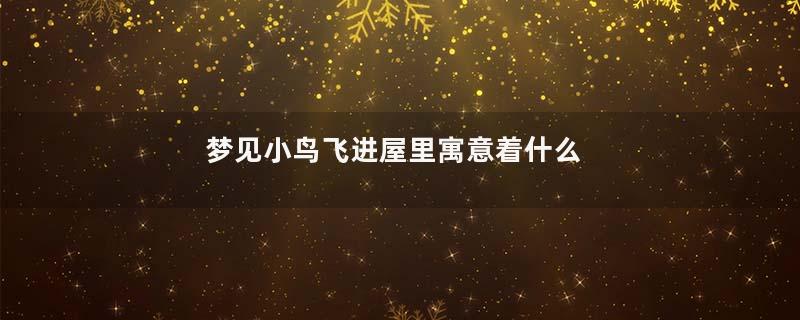 梦见小鸟飞进屋里寓意着什么