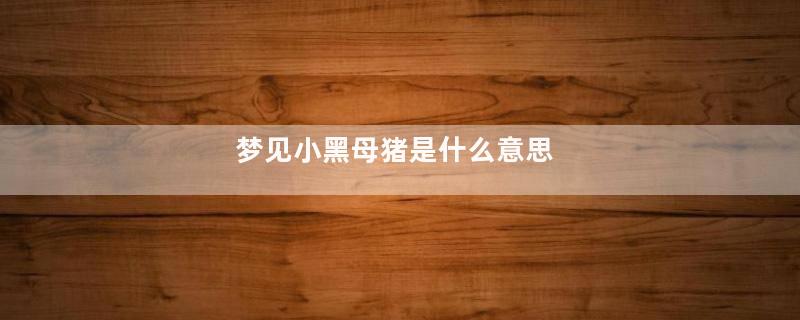 梦见小黑母猪是什么意思
