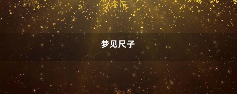 梦见尺子