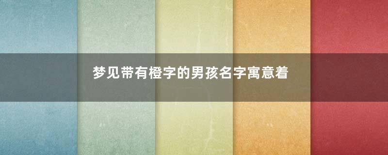 梦见带有橙字的男孩名字寓意着什么