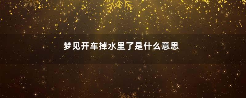 梦见开车掉水里了是什么意思