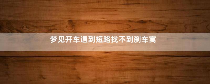 梦见开车遇到短路找不到刹车寓意着什么意思
