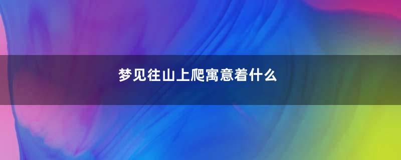 梦见往山上爬寓意着什么