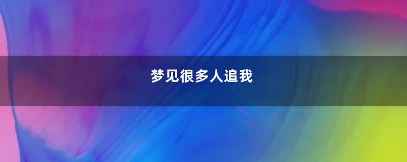 梦到很多人追我
