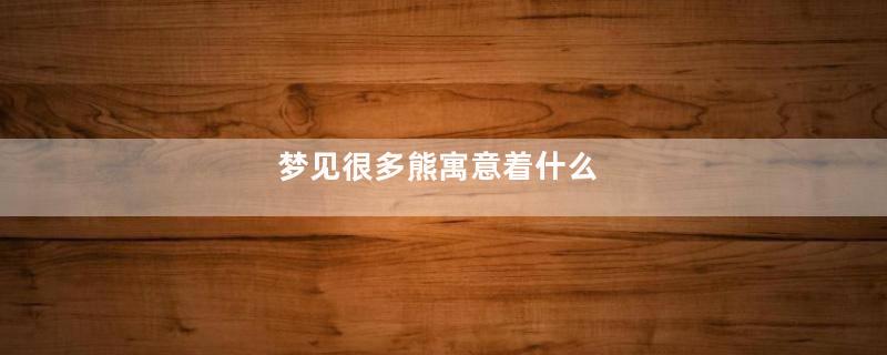 梦见很多熊寓意着什么