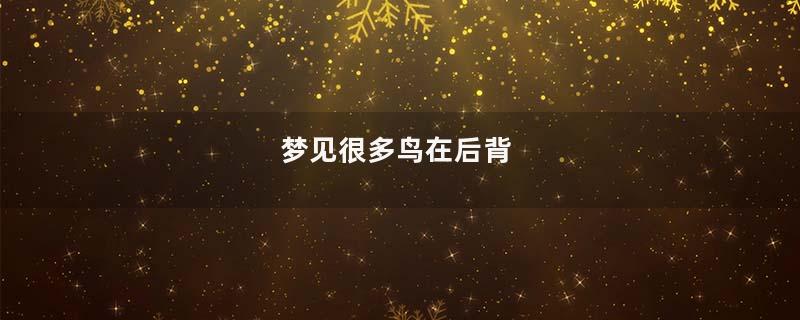梦见很多鸟在后背
