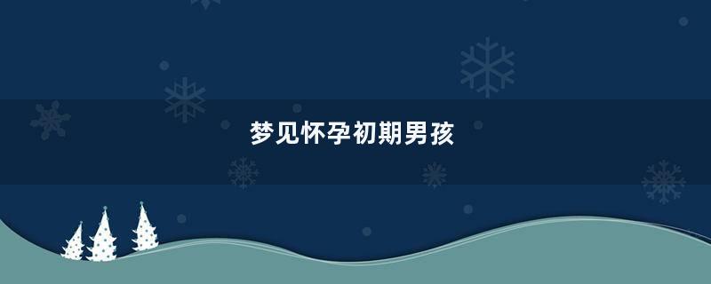 梦见怀孕初期男孩