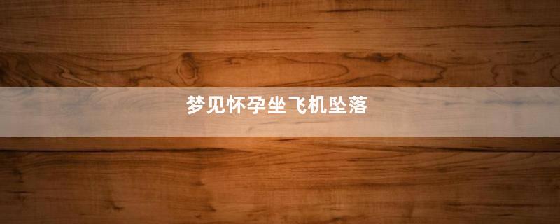 梦见怀孕坐飞机坠落