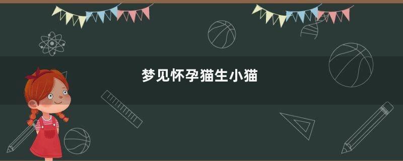 梦见怀孕猫生小猫