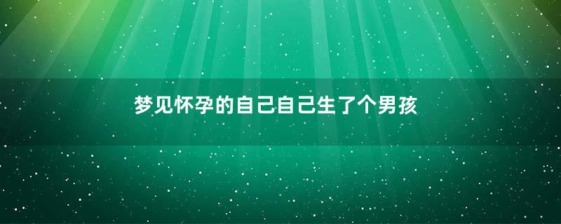 梦见怀孕的自己自己生了个男孩好不好