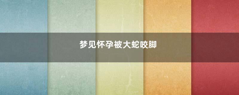 梦见怀孕被大蛇咬脚