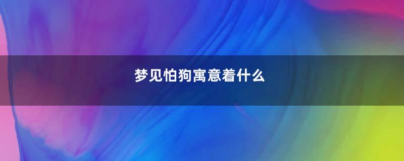 梦见怕狗寓意着什么