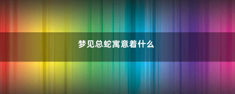 梦见总蛇寓意着什么