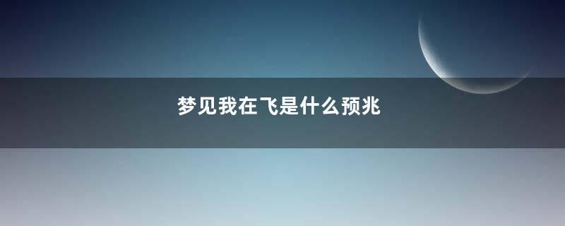 梦见我在飞是什么预兆