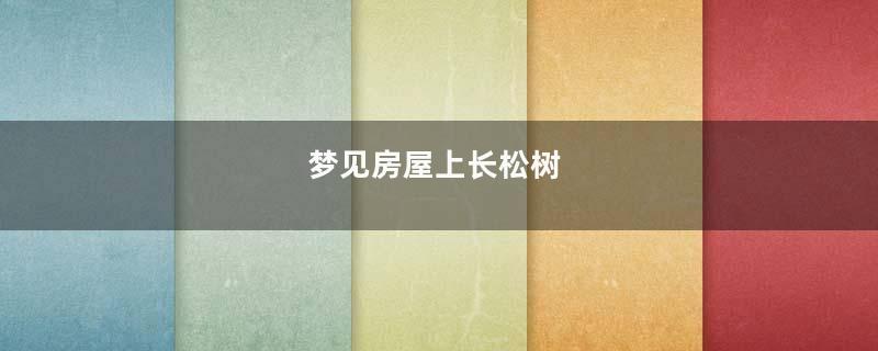 梦见房屋上长松树