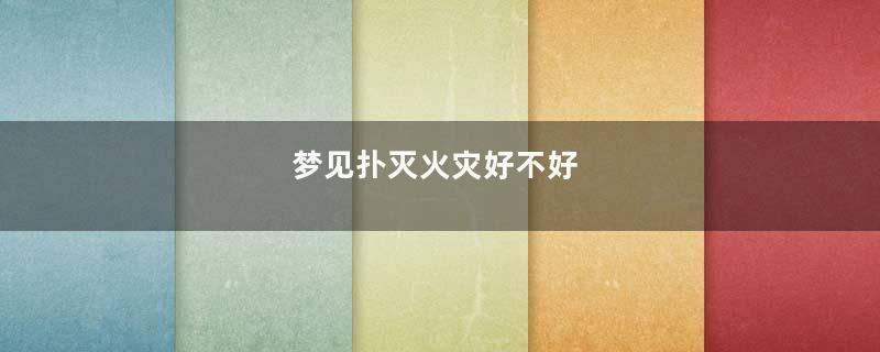 梦见扑灭火灾好不好