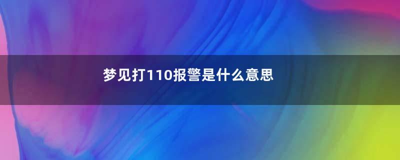 梦见打110报警是什么意思