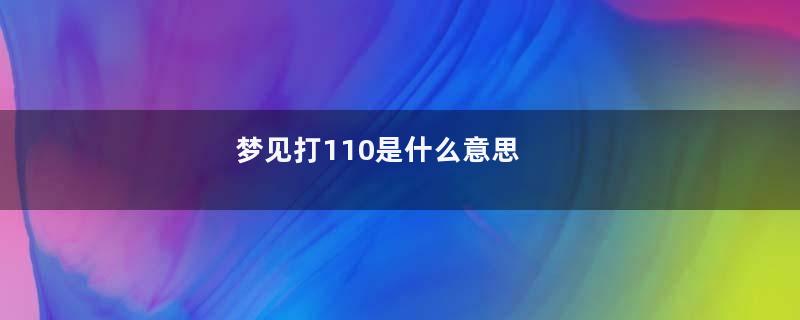 梦见打110是什么意思