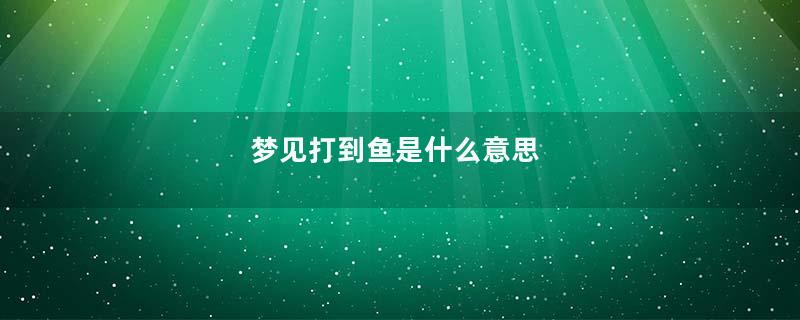 梦见打到鱼是什么意思