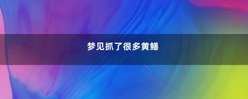 梦见抓了很多黄鳝