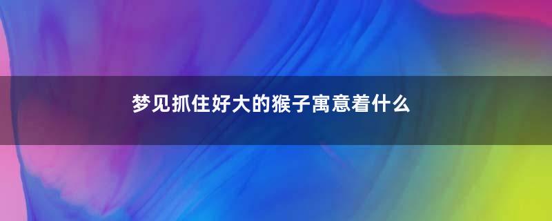 梦见抓住好大的猴子寓意着什么意思