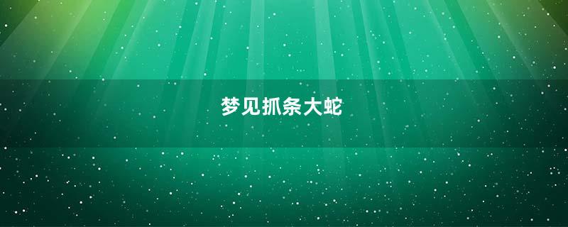 梦见抓条大蛇