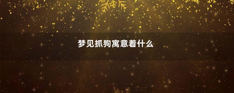 梦见抓狗寓意着什么