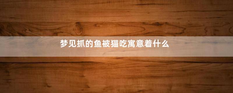 梦见抓的鱼被猫吃寓意着什么