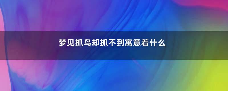 梦见抓鸟却抓不到寓意着什么